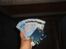 a person holding a bunch of money and a credit card with the word visa on it