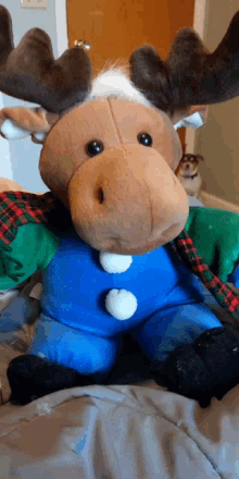 Reindeer Moose GIF