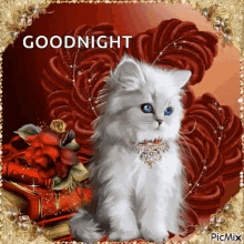 Good Night Kitten GIFs | Tenor