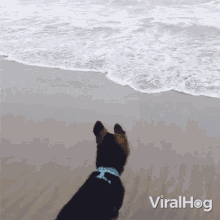 Running Away Viralhog GIF - Running Away Viralhog Escape GIFs