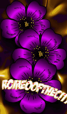 Romeo Honeychat GIF - Romeo Honeychat Romeoofthecity GIFs