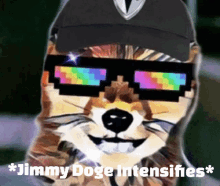 Jimmy Doge Intensifies Dogemoonsoon GIF - Jimmy Doge Intensifies Dogemoonsoon Tylermilgate GIFs