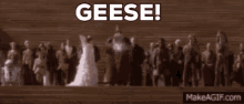 Star Wars Geese GIF - Star Wars Geese Boss Nass GIFs