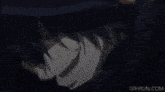 a girl with long white hair and ears is standing in a dark room .