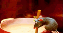 レミー ディズニー　料理　ネズミ GIF - Ratatouille GIFs
