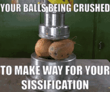sissy balls crush your balls being crush make way for sissification