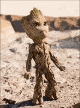 a cartoon character named groot is standing in the dirt