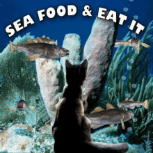 Sea Food And Eat It See Food And Eat It GIF - Sea Food And Eat It See Food And Eat It Diet GIFs