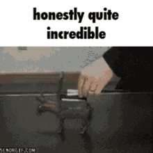 Honestly Quite Incredible GIF - Honestly Quite Incredible GIFs
