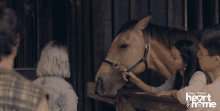 Mystic Horse GIF - Mystic Horse Sneeze GIFs