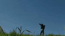 a target in a field with trees in the background