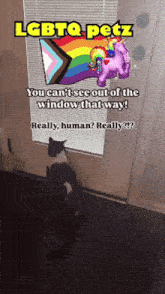 a cat is sitting in front of a window with a unicorn balloon and a rainbow flag behind it