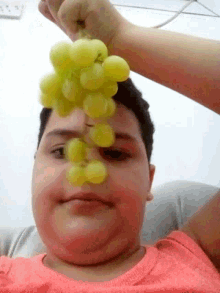 Lol Grapes GIF - Lol Grapes GIFs