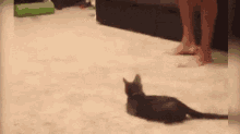 Scared GIF - Scared GIFs