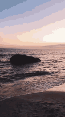 Meaney Ocean GIF