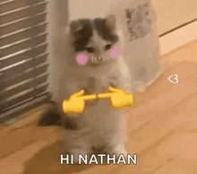 a cat is standing on its hind legs and giving a peace sign with its hands .