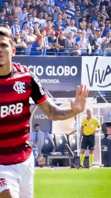 Avaí Pedro Guilherme GIF - Avaí Pedro Guilherme Flamengo GIFs
