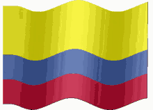 flag colombian