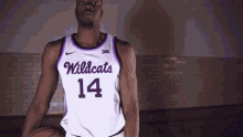 basketball wildcats