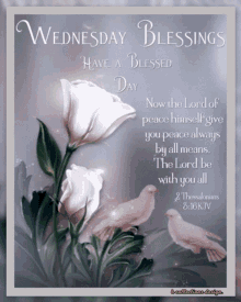 Wednesday Blessings GIF - Wednesday Blessings Happy GIFs
