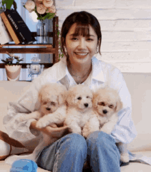 Puppy Puppies GIF - Puppy Puppies Jung Eunji GIFs