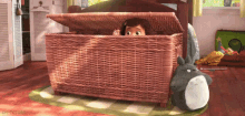 hide basket