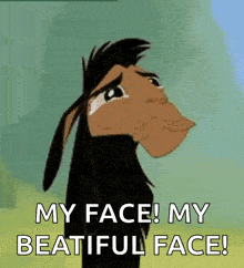 a cartoon llama is crying with the words `` my face ! my beautiful face ! ''