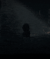 a woman in a black dress has her arms outstretched in a dark forest