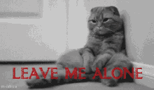 Let Me Be GIF - Cat Emo Leavemealone GIFs
