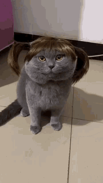 Toupee cat clearance