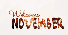 Welcome November Happy GIF - Welcome November Happy GIFs