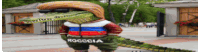 a crocodile wearing a jacket that says rocccia
