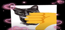 a picture of a cat with a fist in front of it with hearts around it