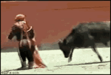 angry bullfighting
