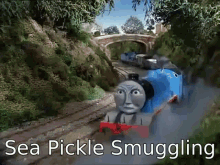 Sea Pickle Smuggling GIF - Sea Pickle Smuggling Meme GIFs