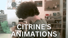 Citrine Animations GIF - Citrine Animations Citrineanimations GIFs