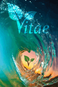 Vitae Wave GIF - Vitae Wave GIFs