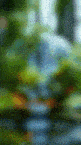 a blurry picture of a forest with trees and a blue sky