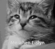 Eislyn Eislyn Awesome GIF - Eislyn Eislyn Awesome Me When Eislyn GIFs