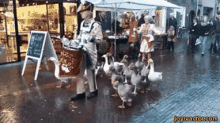 Parade GIF - Parade Ducks GIFs