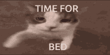 Bed Time Time For Bed GIF - Bed Time Time For Bed GIFs