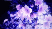 Flowers Petals GIF - Flowers Petals Pink GIFs