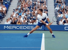 Novak Djokovic Line Call GIF