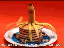 Balanced Breakfast Pancakes GIF - Balanced Breakfast Pancakes Bananas GIFs