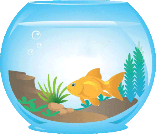 Goldfish Aquariumme Sticker - Goldfish Aquariumme Do Fish Sleep - Discover  & Share GIFs