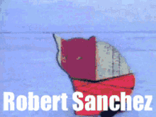 Robert Robert Sanchez GIF - Robert Robert Sanchez Robert Sanchez Cat GIFs