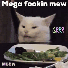 Mega Mew Fookin GIF - Mega Mew Fookin Meow GIFs