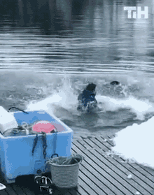 Rescue This Is Happening GIF - Rescue This Is Happening Fall Into Water GIFs