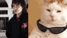 Billzo Cat GIF - Billzo Cat GIFs