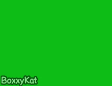 a green screen with a boxykat logo and a follow button